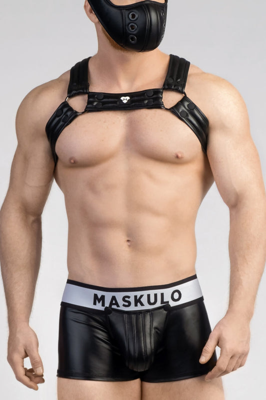 Armored Next. Men's Fetish Bulldog Harness. Black